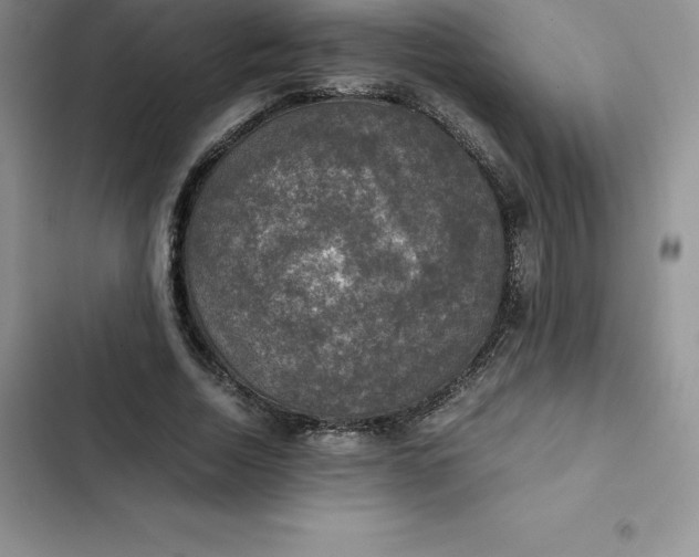 X0000102520730200808221841