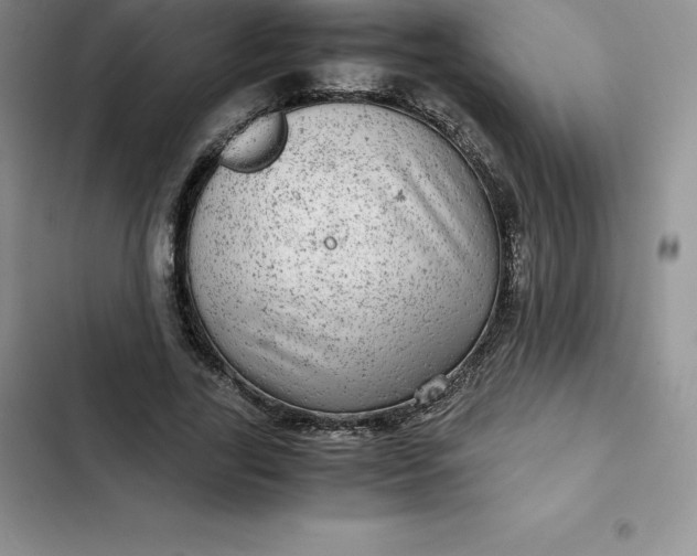 X0000102520731200808221841