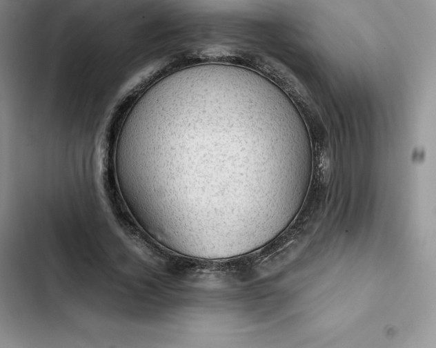 X0000102520732200808221841