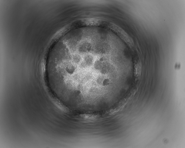 X0000102520733200808221841