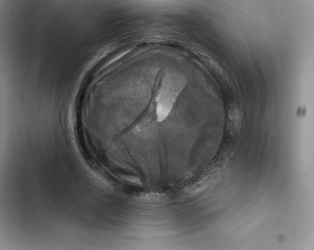 X0000102520734200808221841