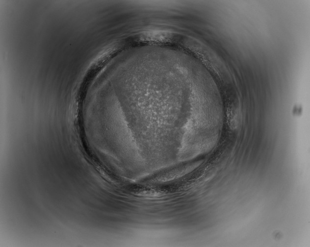 X0000102520735200808221841