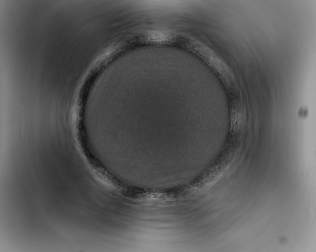 X0000102520736200808221841