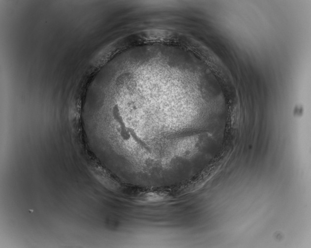 X0000102520737200808221841