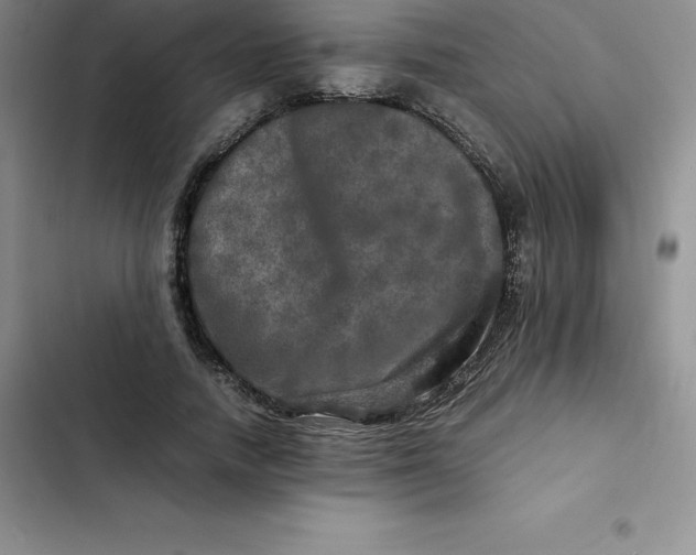 X0000102520738200808221841