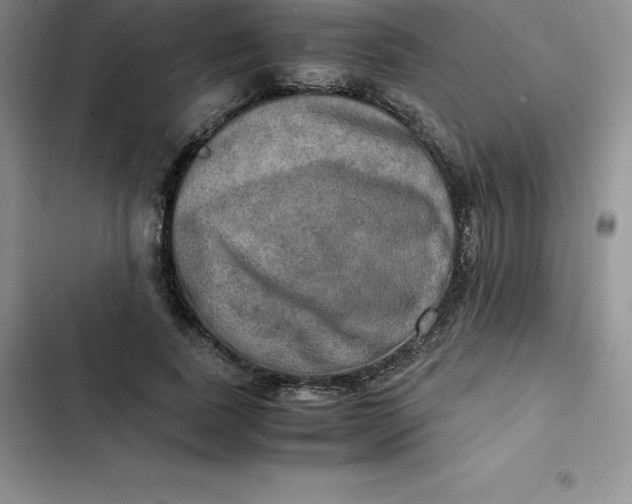 X0000102520739200808221841