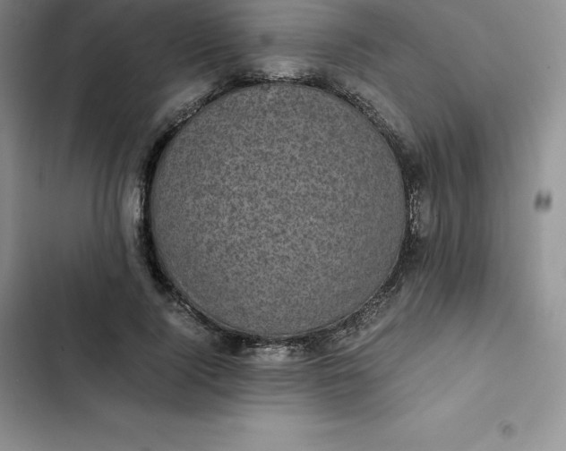 X0000102520740200808221841