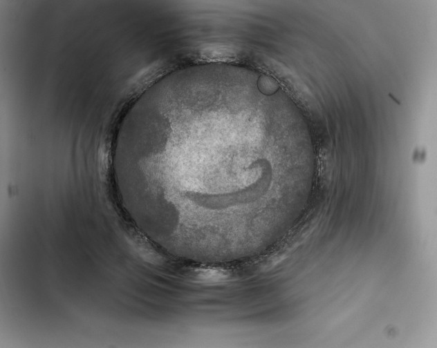 X0000102520741200808221841