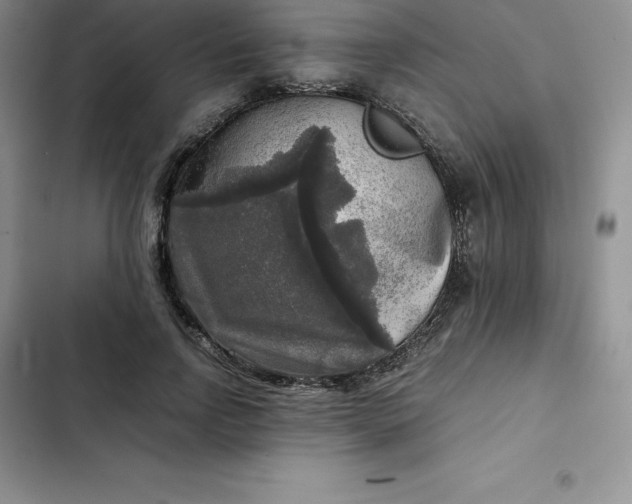 X0000102520742200808221841