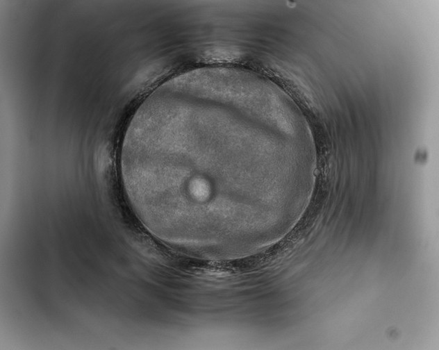 X0000102520743200808221841