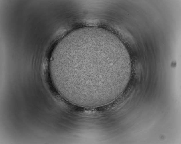 X0000102520744200808221841