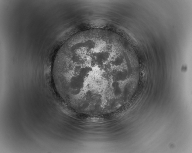 X0000102520745200808221841