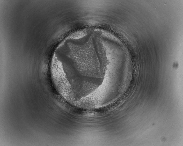 X0000102520746200808221841