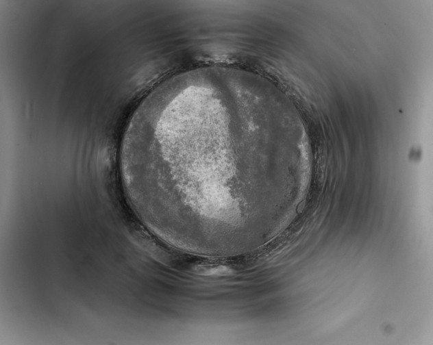 X0000102520747200808221841