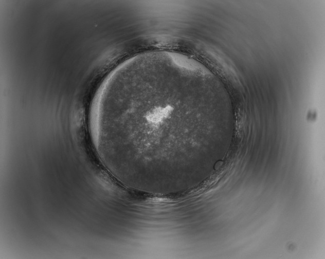 X0000102520748200808221841