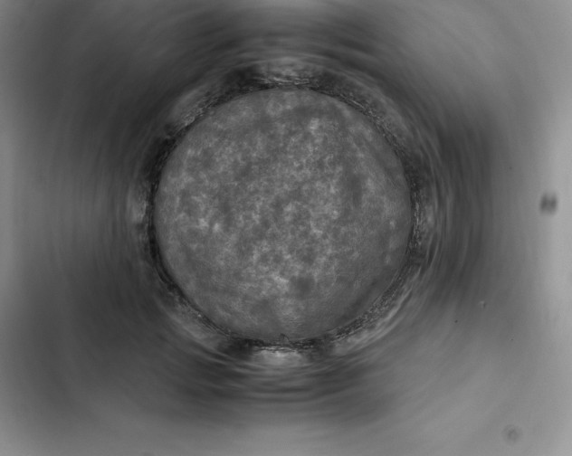 X0000102520749200808221841