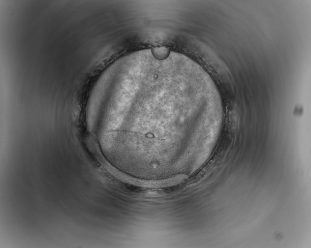 X0000102520750200808221841