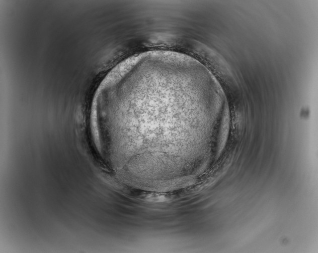 X0000102520751200808221841