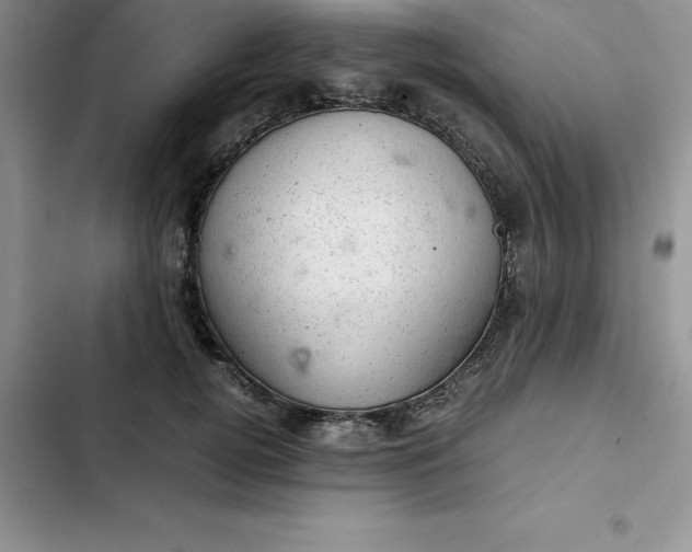 X0000102520752200808221841