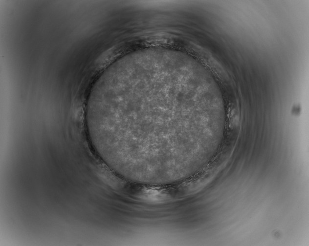 X0000102520753200808221841