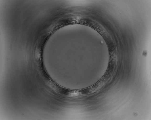 X0000102520754200808221841