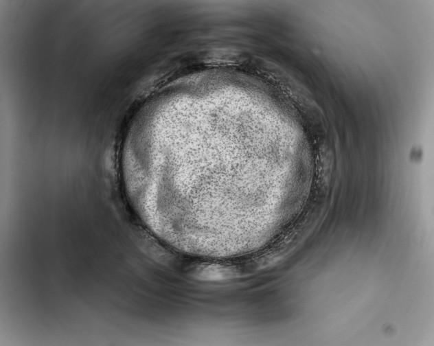 X0000102520755200808221841