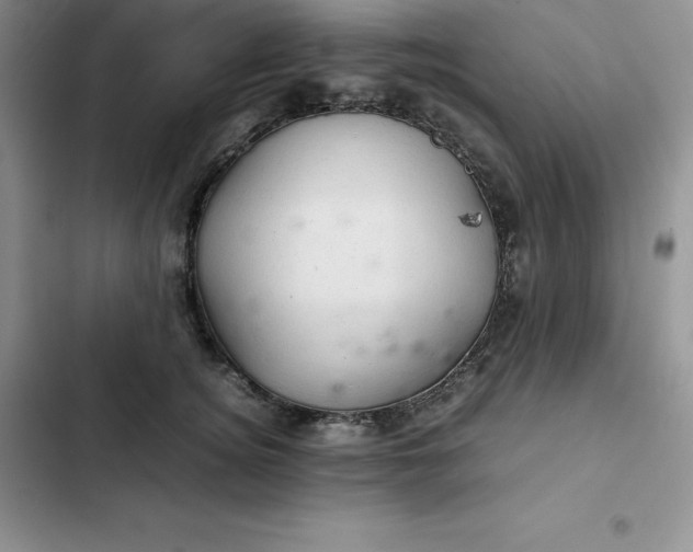 X0000102520756200808221841