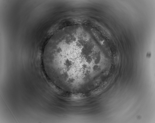 X0000102520757200808221841