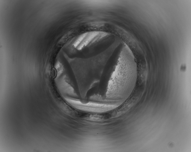 X0000102520758200808221841