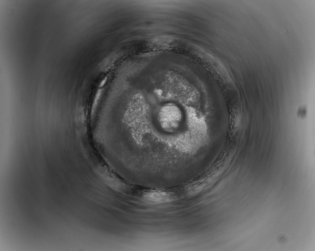 X0000102520759200808221841