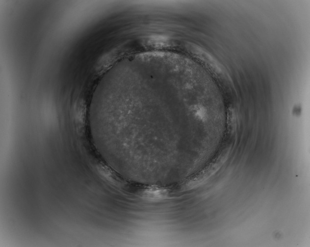 X0000102520760200808221841