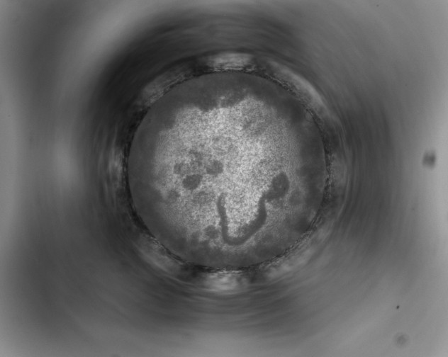 X0000102520761200808221841