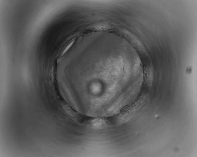 X0000102520762200808221841