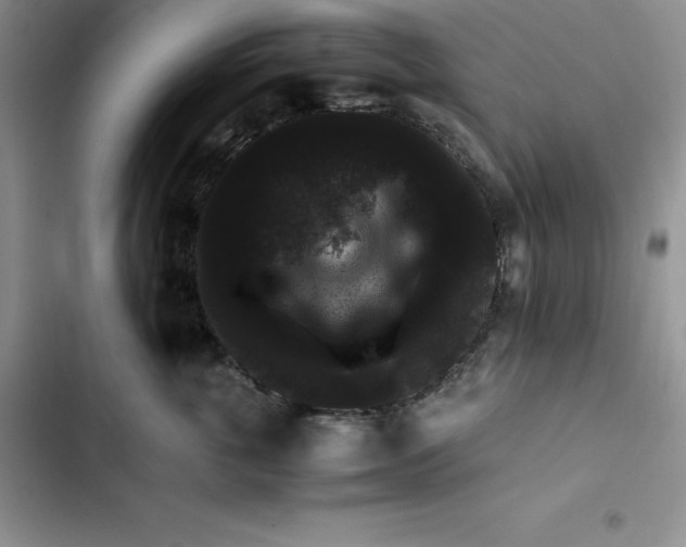 X0000102520763200808221841