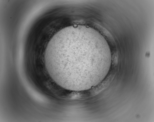 X0000102520764200808221841