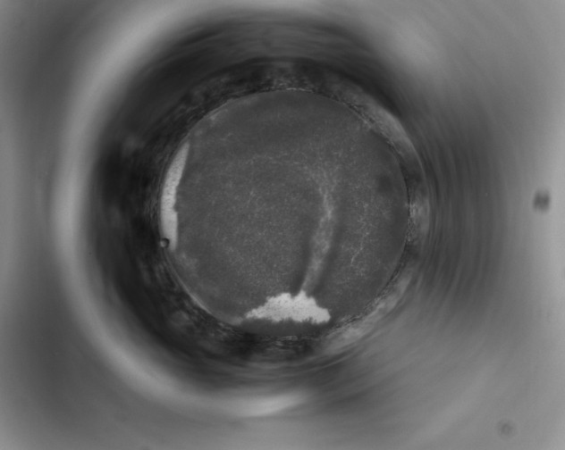 X0000102520765200808221841