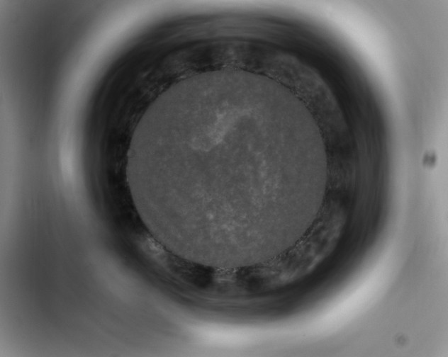 X0000102520766200808221841