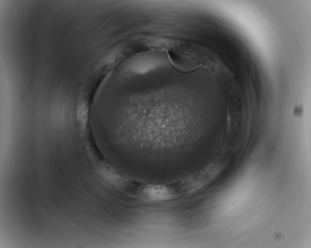 X0000102520767200808221841