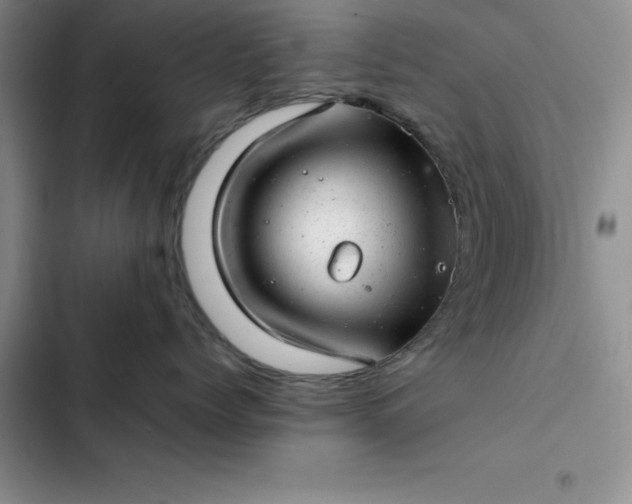 X0000102520768200808221841