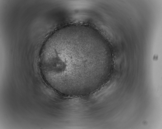 X0000102520769200808221840