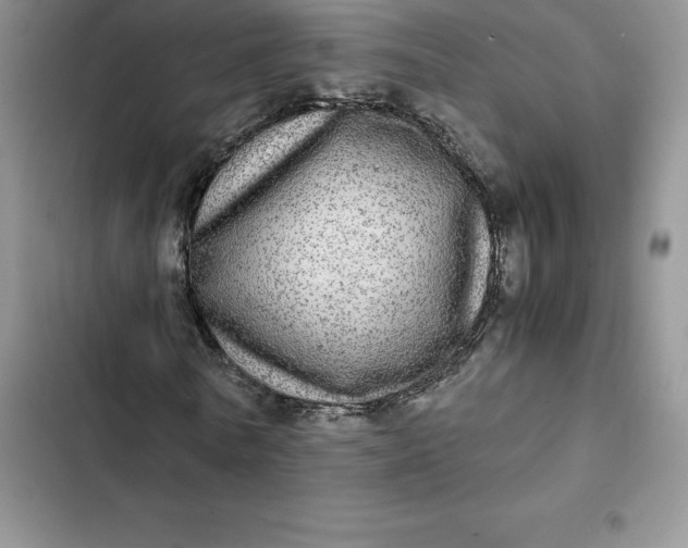 X0000102520770200808221840