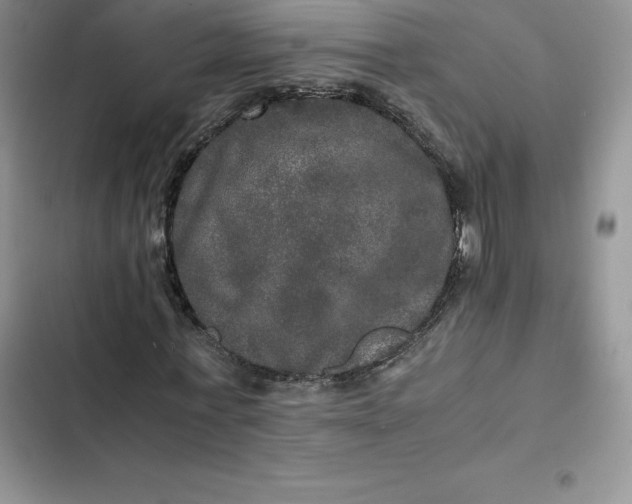 X0000102520771200808221840