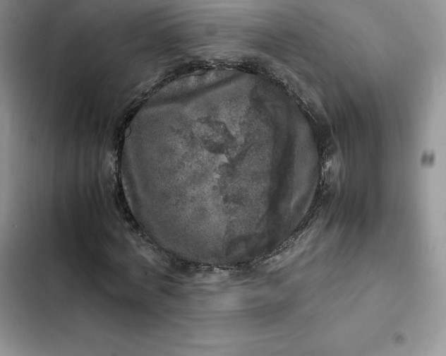 X0000102520772200808221840