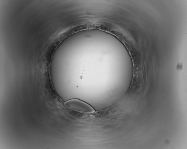 X0000102520773200808221840