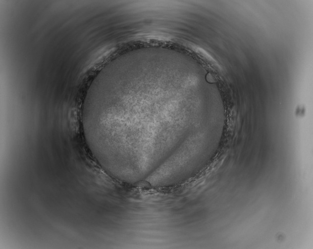 X0000102520774200808221840