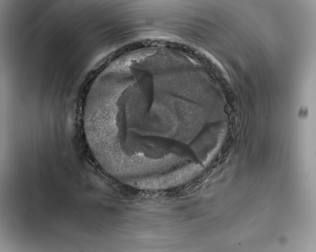 X0000102520775200808221840