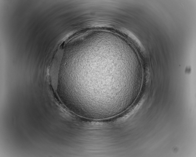 X0000102520777200808221840