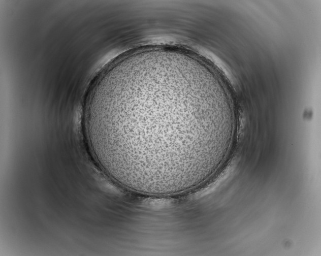 X0000102520778200808221840