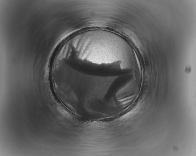 X0000102520779200808221840