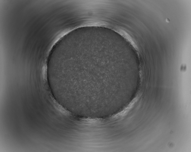 X0000102520781200808221840